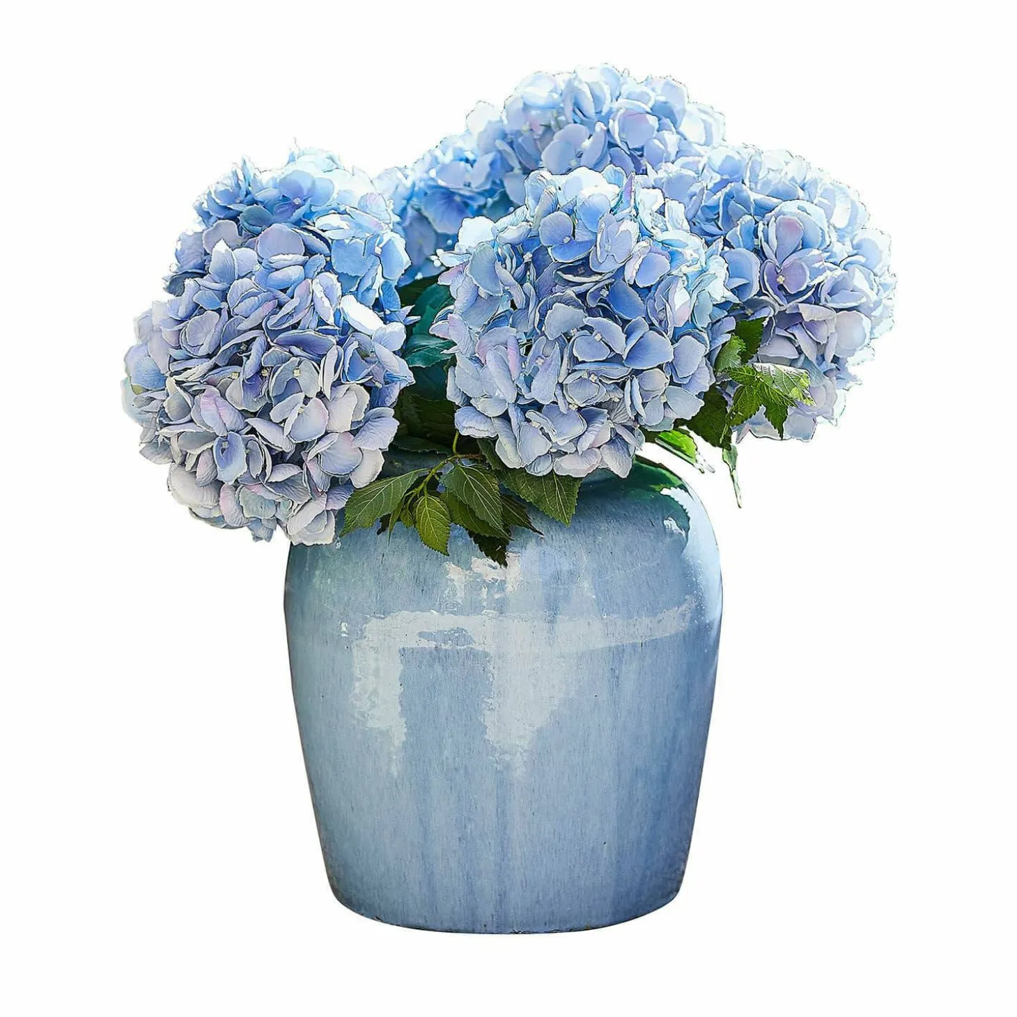 Vaso Uxemir